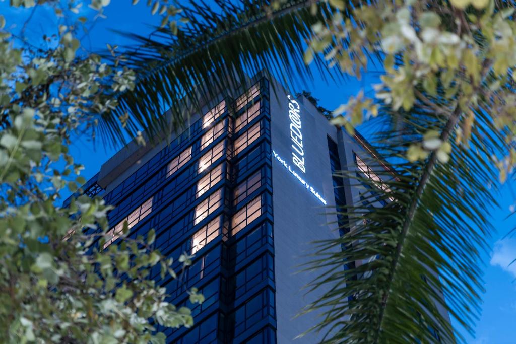 York Medellin Curio Collection by Hilton 3