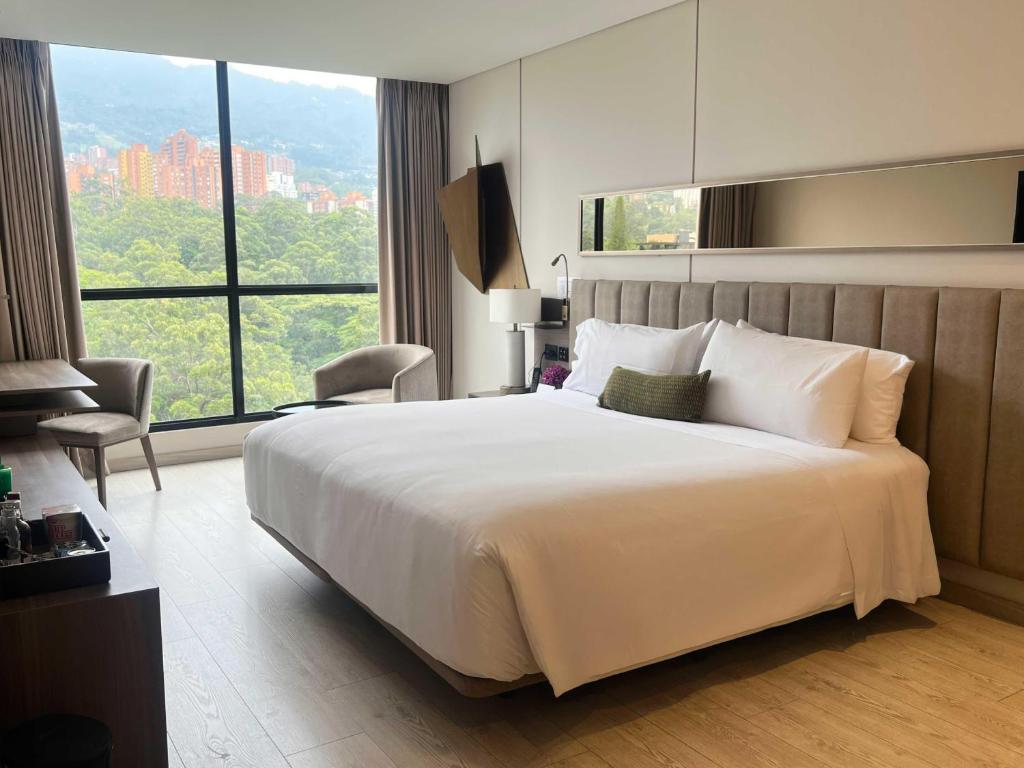 York Medellin Curio Collection by Hilton 6